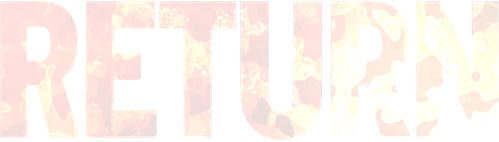 Возвращение