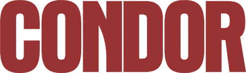 Кондор
