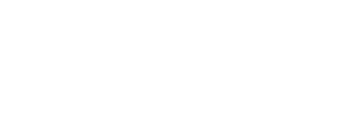 Джой: маленькое чудо