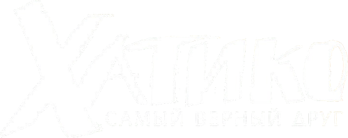 Хатико: Самый верный друг