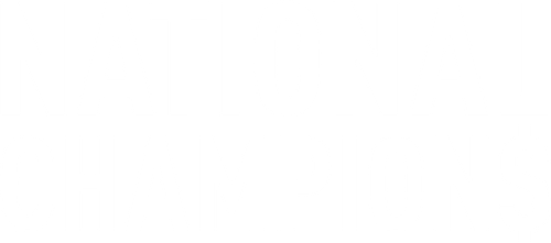 Национальные чемпионы