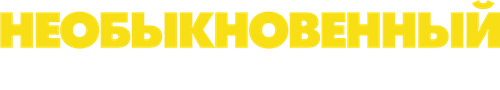 Необыкновенный плейлист Зои