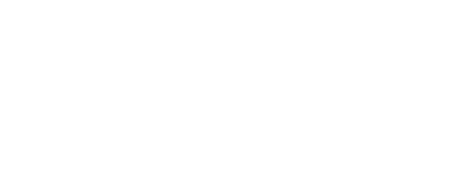 Последний магнат