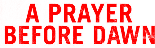 Бои без правил