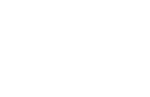 Темный дворецкий