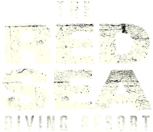 Курорт для Ныряльщиков на Красном Море