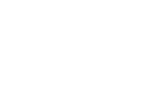 Gatto