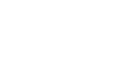 Правила совместной жизни 