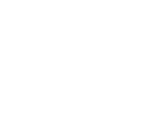 Y. Последний мужчина