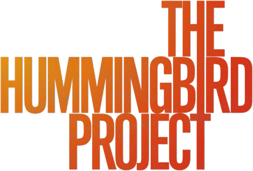 Операция «Колибри»