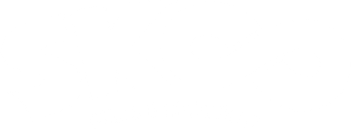 Скейт: Бесконечность