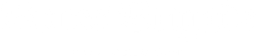 Bones Brigade: An Autobiography