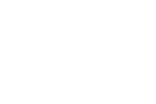 Одинокий голубь