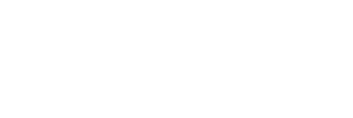 Эксперименты Лэйн