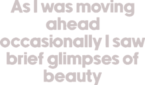 As I Was Moving Ahead, Occasionally I Saw Brief Glimpses of Beauty