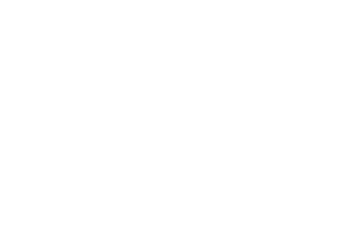 Свидетель обвинения