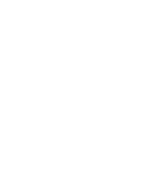 Сильнейший мудрец низшей эмблемы